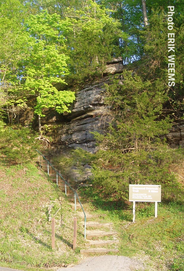 Ridge Trail opposite Beaver Dam
